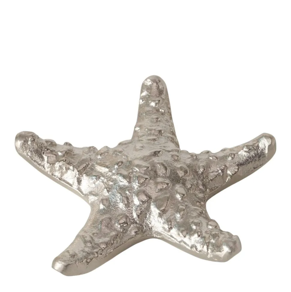 dekofigur_seestern_silber_SKUfngGEGoGBh_0.webp Dekofigur Seestern silberfarben