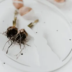 Eulenschnitt Holzkranz Hase weiß