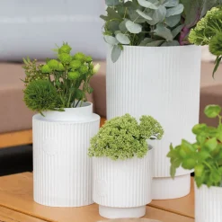 Räder Hausfreunde Übertopf Eigener Anbau