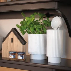 Räder Hausfreunde Übertopf Eigener Anbau