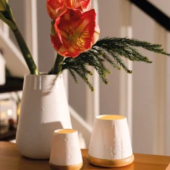 Räder Poesie Windlicht Wald