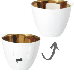 Räder Poesielicht Katzenbesuch